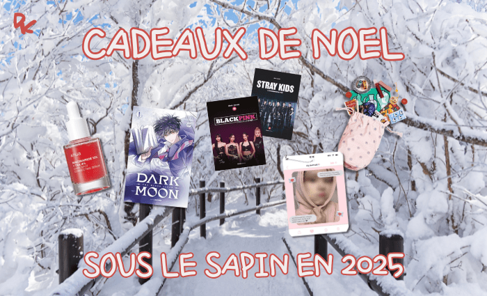 idées cadeaux noël kpop stray kids blackpink